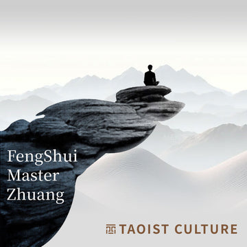 FengShui Consultation Service(Important decisions in life)